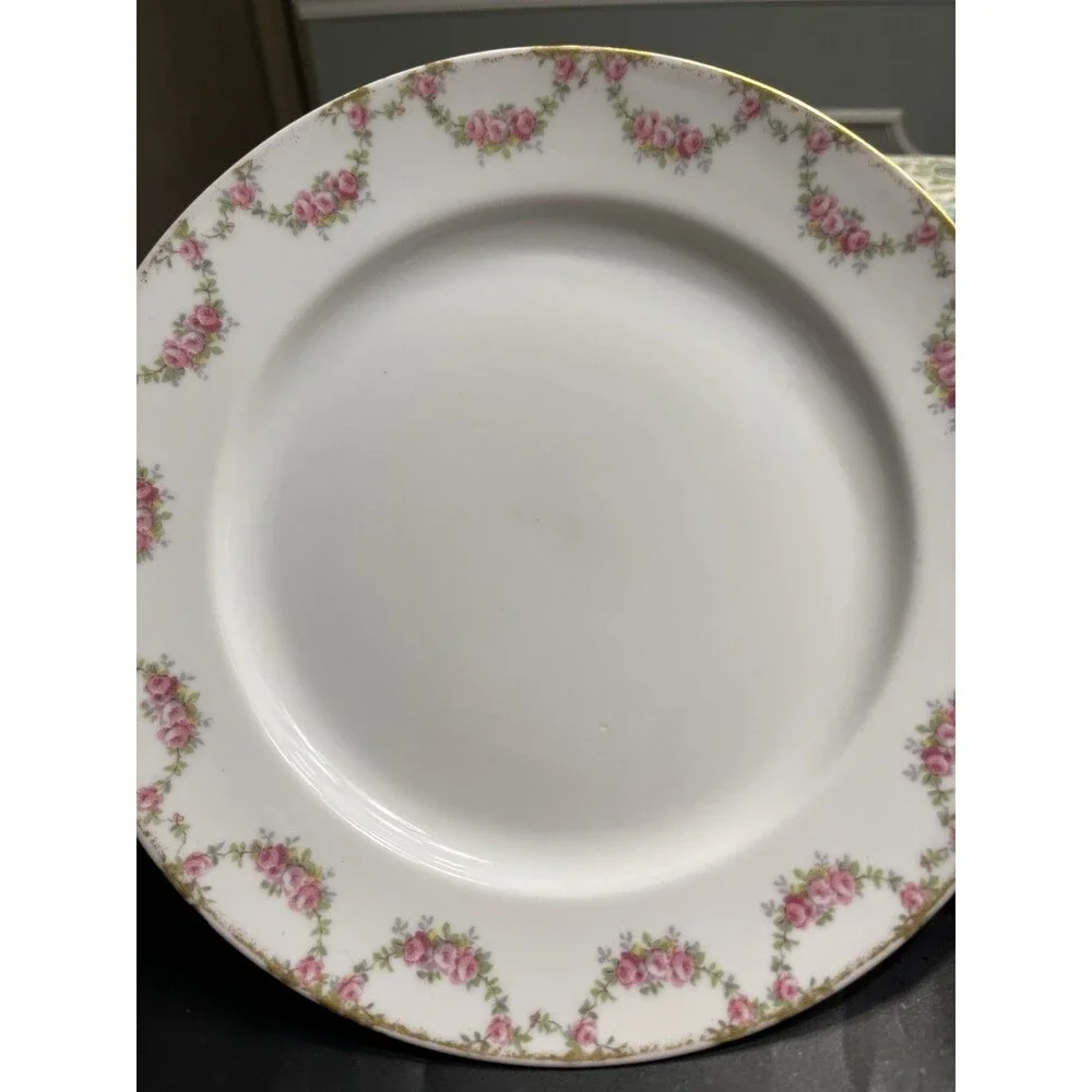 Limoges France Pink Floral Garland ‘Abbey’ Plate Luncheon Salad 9.5” Diameter